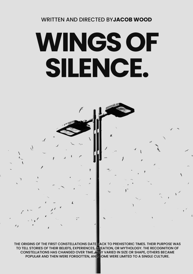 Wings Of Silence